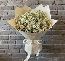 Букет цветов из:  Ромашки #REPLACE_PRED# Братске