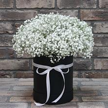 Цветочная композиция из Гипсофила в шляпной коробке в Братске